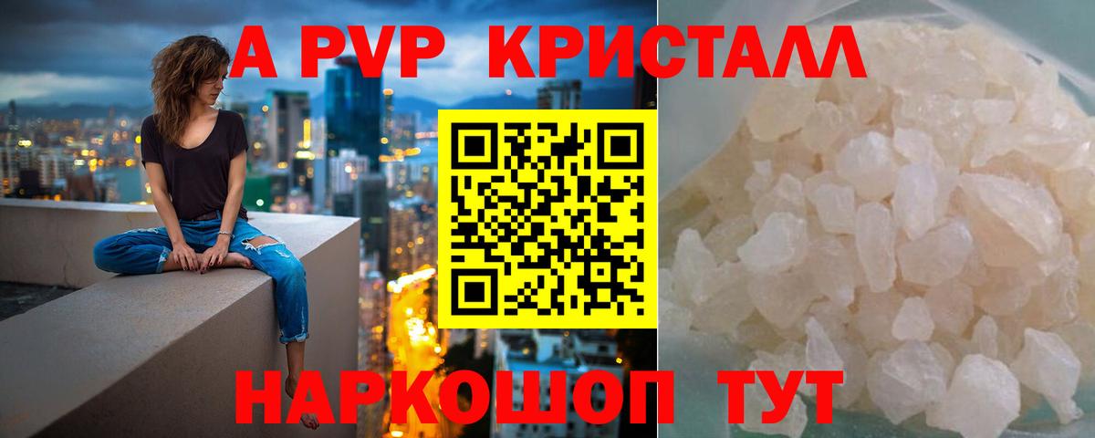 А ПВП крисы CK Ачхой-Мартан