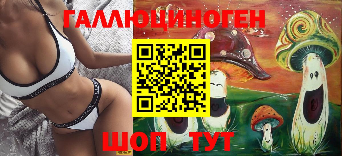 Псилоцибиновые грибы Psilocybe  Вход с VPN  Ачхой-Мартан 
